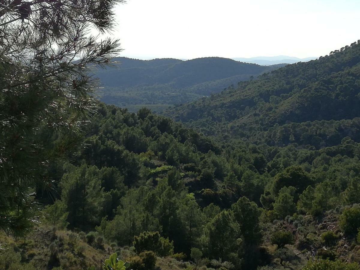 Affittacamere Ca'Ls Avis Serra Esterno foto